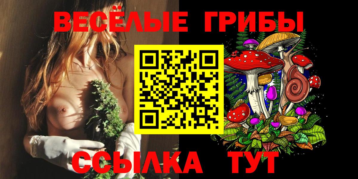 Псилоцибиновые грибы GOLDEN TEACHER  Галлюциногенные грибы ЛСД  Татарск  Вход с VPN 